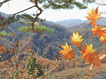 “天地仿盛大”3月1日更新公告：
